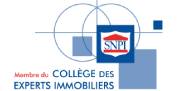 snpi-1 Franchise et Mandataire Immobilier - R&eacute;saux IMMOA  